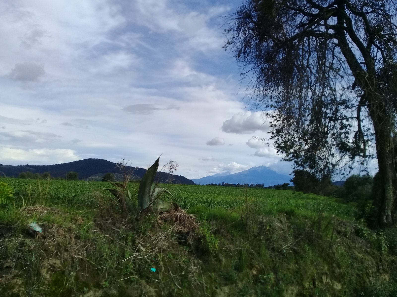 Paisaje natural de Nanacamilpa con volcan al fondo